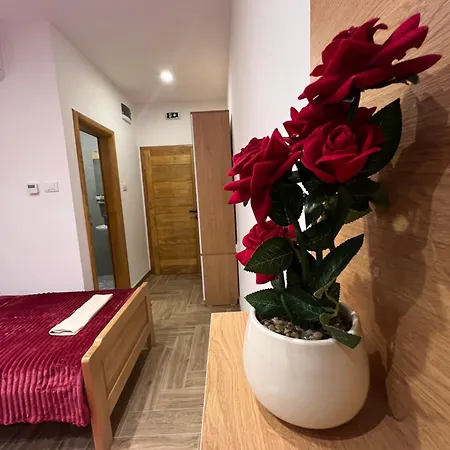 Apartmani Ristanovic Uzice Exterior photo
